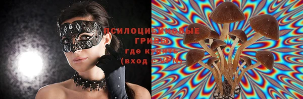 spice Липки