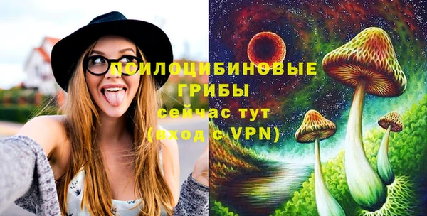 a pvp Магас